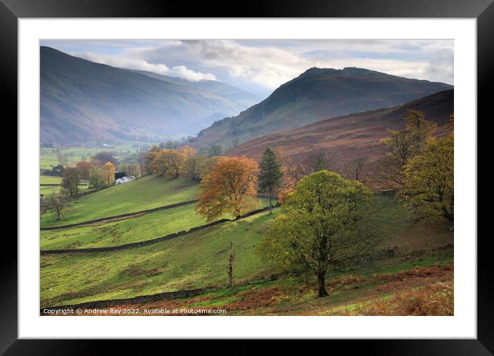 Autumn trees (St Johns in the Vale)  Framed Mounted Print by Andrew Ray