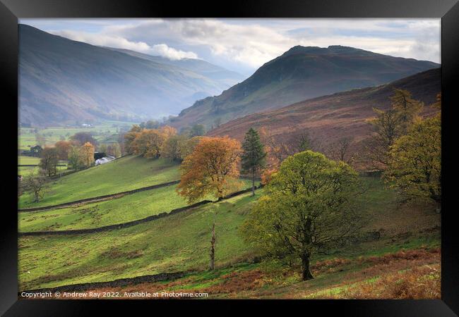 Autumn trees (St Johns in the Vale)  Framed Print by Andrew Ray
