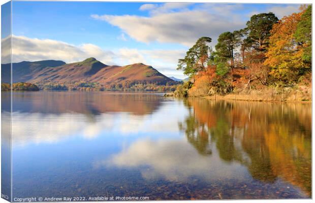 Friar's Crag and Cat Bells  Canvas Print by Andrew Ray