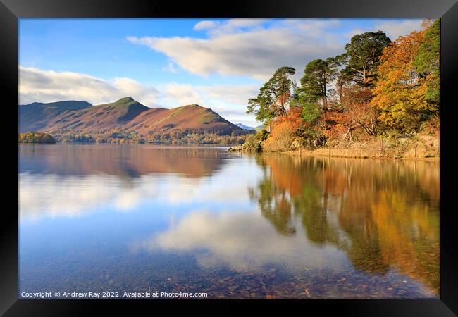Friar's Crag and Cat Bells  Framed Print by Andrew Ray