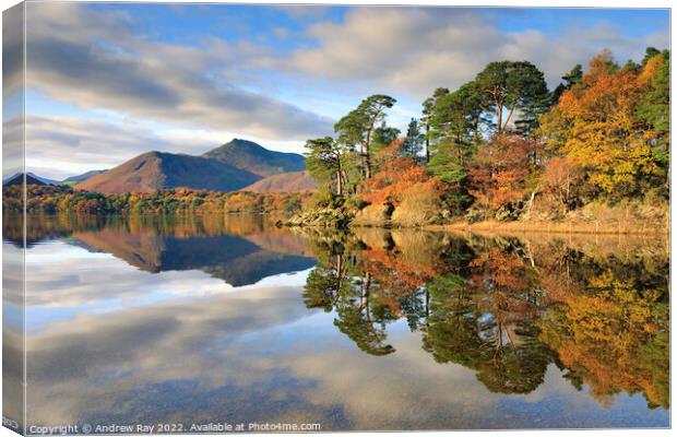Autumn reflections (Friar's Crag) Canvas Print by Andrew Ray