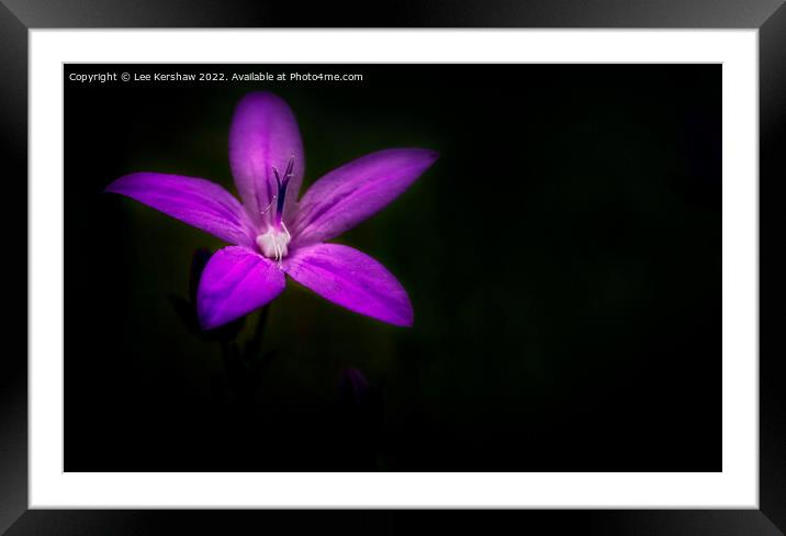 "Ethereal Symphony: A Captivating Purple Revelatio Framed Mounted Print by Lee Kershaw