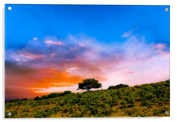 Malvern Sunset Acrylic by Scott Paul