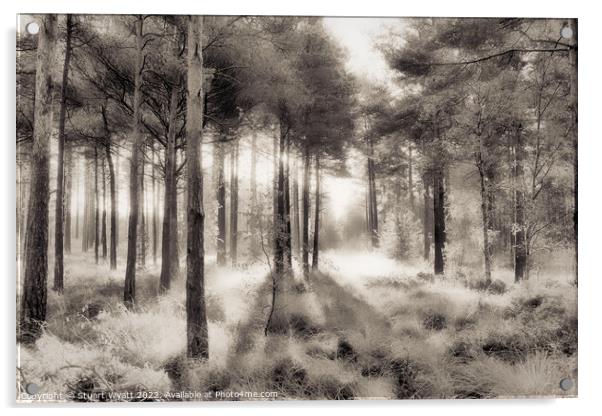 Trees Acrylic by Stuart Wyatt