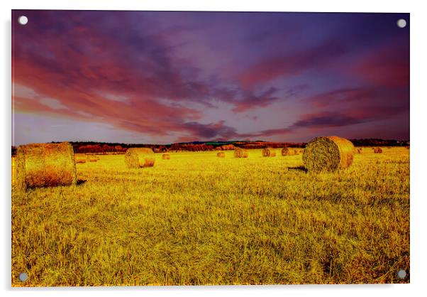 Spring Harvest Acrylic by Scott Paul