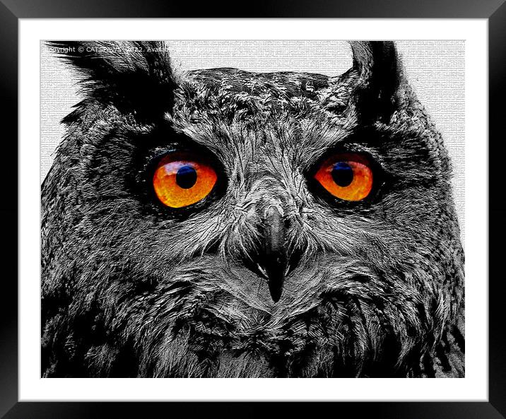 OWL - YOU'RE THE ORANGE OF MY EYES Framed Mounted Print by CATSPAWS 