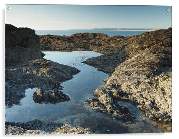 Westward Ho rock pool Acrylic by Tony Twyman