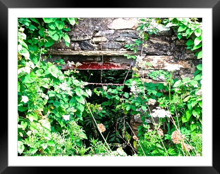 The brambles have taken over Framed Mounted Print by Stephanie Moore