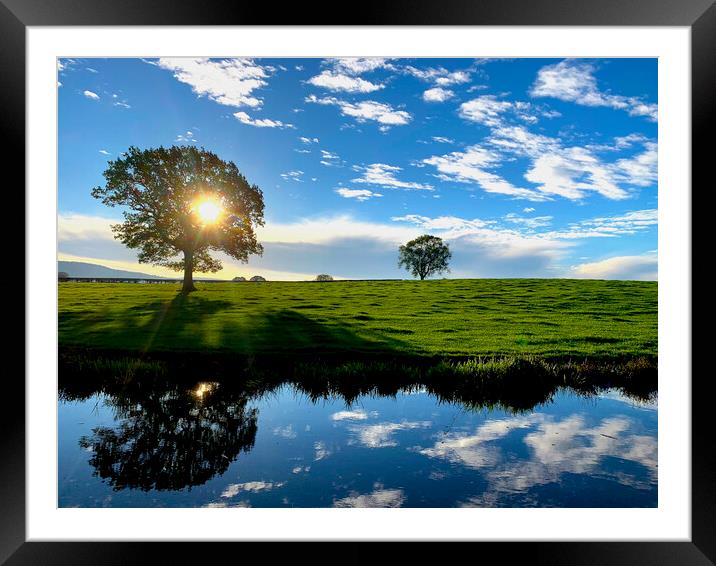 Two trees at sunrise Framed Mounted Print by Leonard Hall