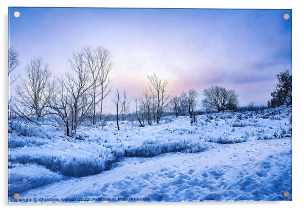 Cold Dawn Acrylic by Christine Kerioak