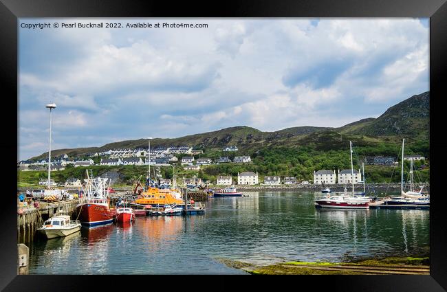 Mallaig Harbour Highland Scotland Framed Print by Pearl Bucknall