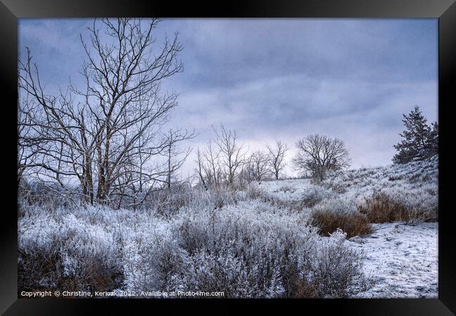 Cold Start to the Day Framed Print by Christine Kerioak