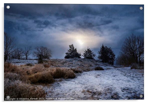 Cold Winter Dawn Acrylic by Christine Kerioak