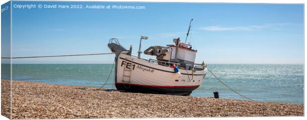 Fishing boat Canvas Print by David Hare