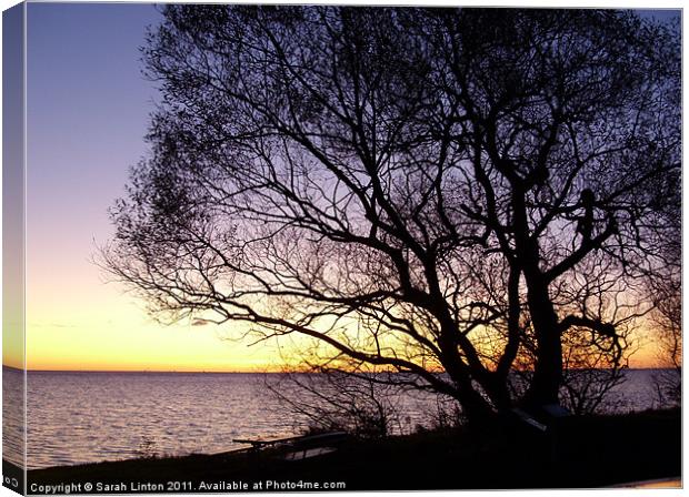 Sunset at Lomma, Sweden Canvas Print by Sarah Osterman