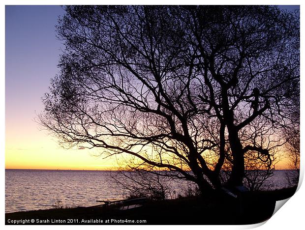 Sunset at Lomma, Sweden Print by Sarah Osterman