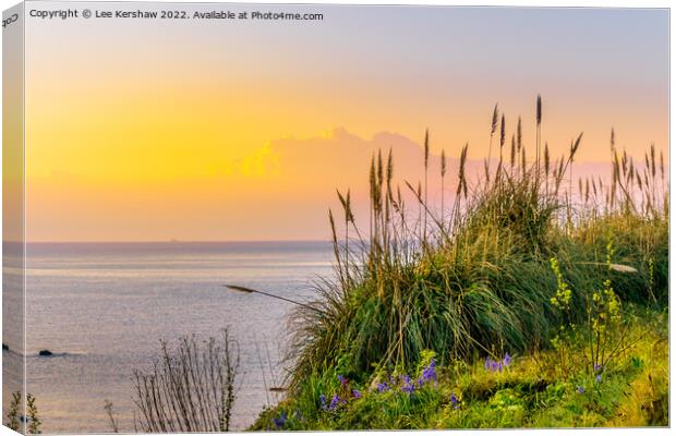 Serene Sunrise Over Cornish Coastal Flowers Canvas Print by Lee Kershaw