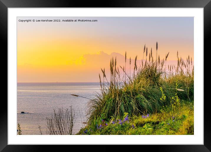 Serene Sunrise Over Cornish Coastal Flowers Framed Mounted Print by Lee Kershaw