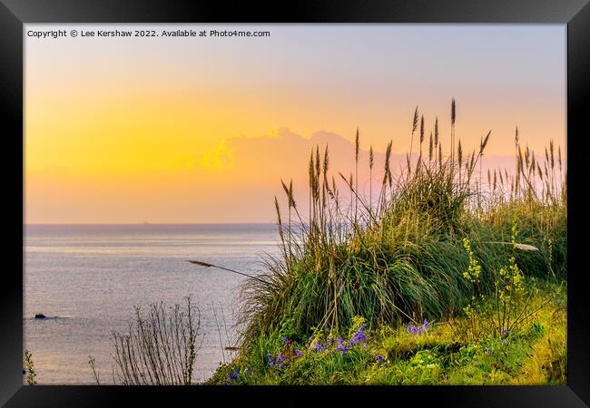 Serene Sunrise Over Cornish Coastal Flowers Framed Print by Lee Kershaw