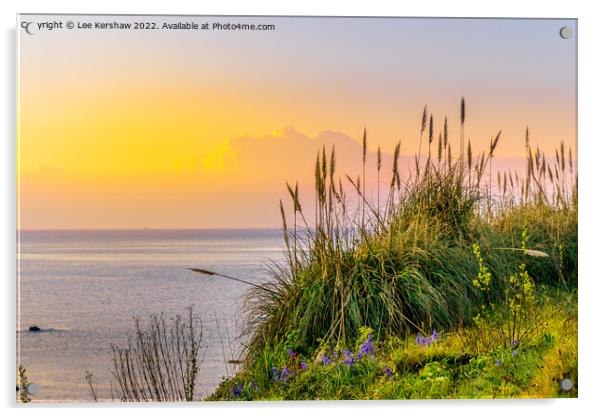 Serene Sunrise Over Cornish Coastal Flowers Acrylic by Lee Kershaw