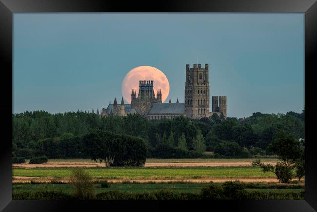 Moon rise behind Ely Cathedral, 10th August 2022 Framed Print by Andrew Sharpe