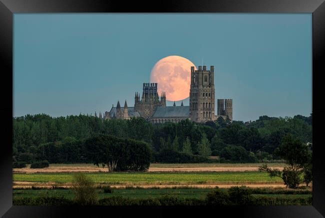 Moon rise behind Ely Cathedral, 10th August 2022 Framed Print by Andrew Sharpe