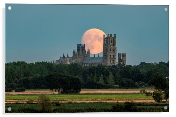 Moon rise behind Ely Cathedral, 10th August 2022 Acrylic by Andrew Sharpe