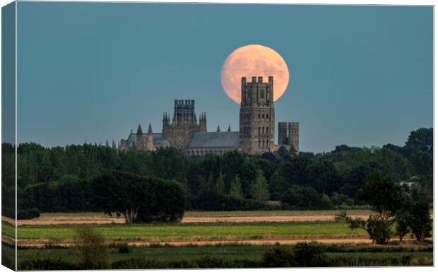 Moon rise behind Ely Cathedral, 10th August 2022 Canvas Print by Andrew Sharpe