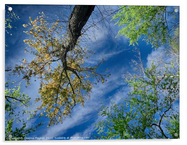  Trees Reach for the Sky Acrylic by Deanne Flouton
