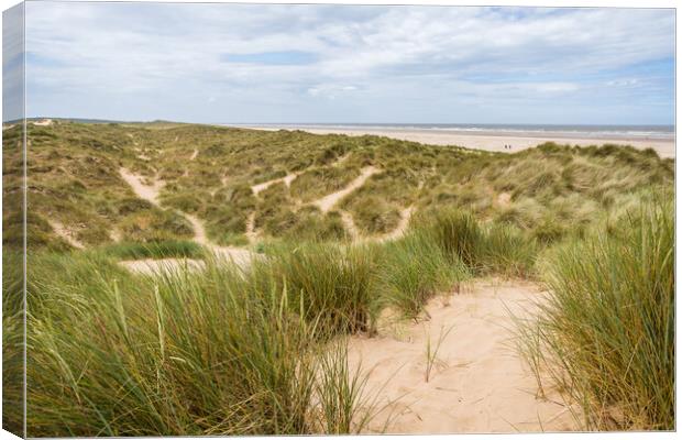 Trails over the dunes by  Ainsdale beach Canvas Print by Jason Wells