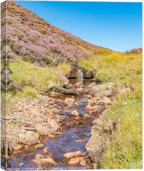 Little Eggleshope Beck, Teesdale Canvas Print by Richard Laidler
