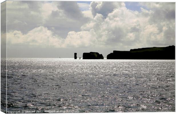 Old Harry rock in Silhouette. Canvas Print by john hill