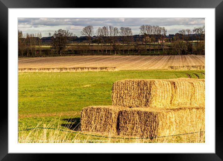 Hay Bales Drying Out  Framed Mounted Print by Pamela Reynolds