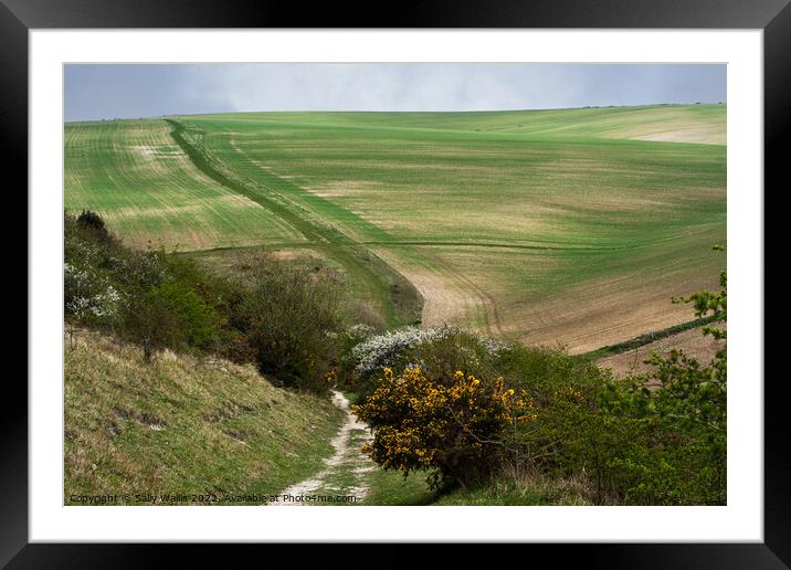 Paths across South Downs from Bo-Peep to Seaford Framed Mounted Print by Sally Wallis