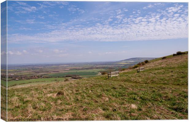 Look-out from South Downs Canvas Print by Sally Wallis