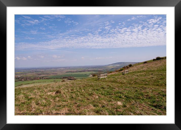 Look-out from South Downs Framed Mounted Print by Sally Wallis