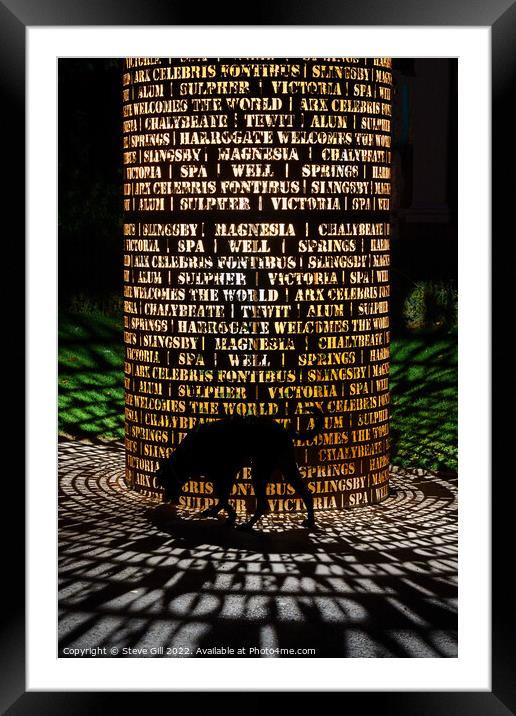 Silhouette of a Labrador Dog as it Walks in Front of a Light Installation. Framed Mounted Print by Steve Gill