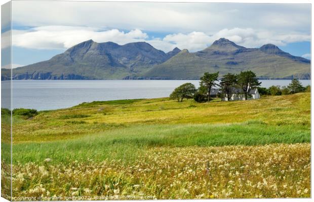 Isle of Eigg, Summer Flowers, Small Isles Scotland Canvas Print by Barbara Jones