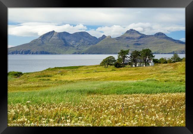 Isle of Eigg, Summer Flowers, Small Isles Scotland Framed Print by Barbara Jones