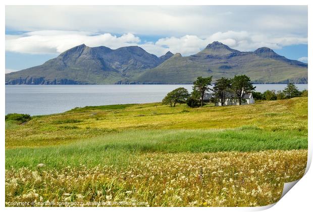 Isle of Eigg, Summer Flowers, Small Isles Scotland Print by Barbara Jones