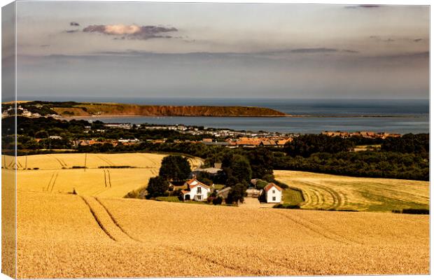 Golden Fields of Wheat in Hunmanby Overlooking Filey Bay and Filey Brigg Canvas Print by Glen Allen