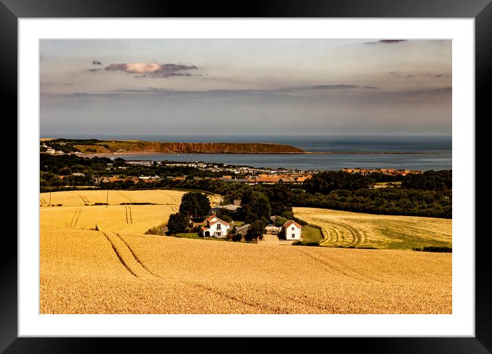 Golden Fields of Wheat in Hunmanby Overlooking Filey Bay and Filey Brigg Framed Mounted Print by Glen Allen