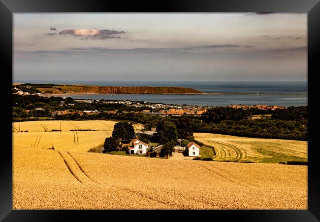 Golden Fields of Wheat in Hunmanby Overlooking Filey Bay and Filey Brigg Framed Print by Glen Allen