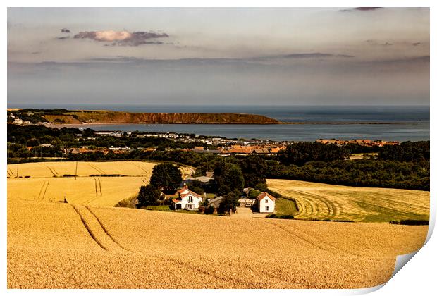 Golden Fields of Wheat in Hunmanby Overlooking Filey Bay and Filey Brigg Print by Glen Allen