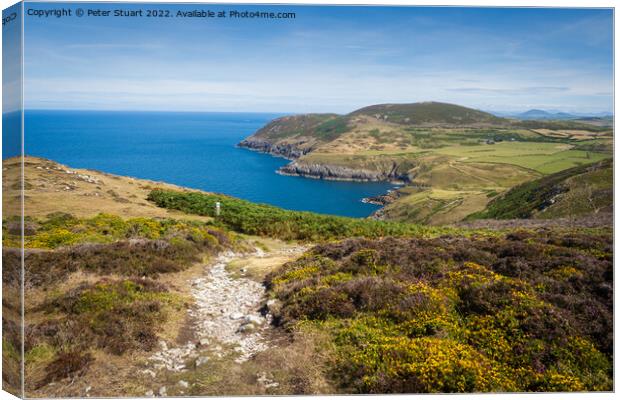 Walking on the Welsh Coast Path around Aberdaron on the Llyn Pen Canvas Print by Peter Stuart