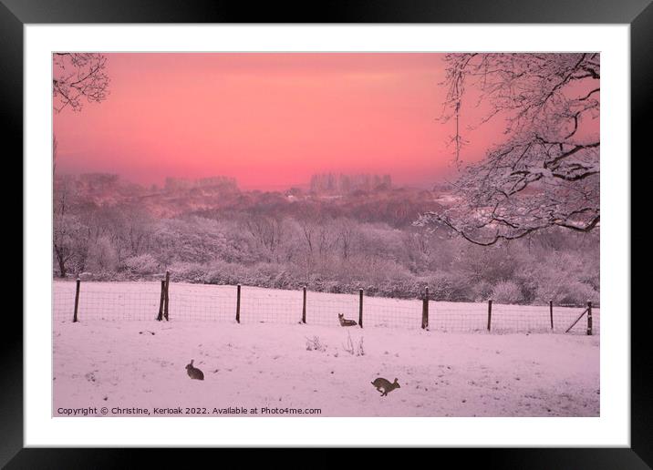 Pink Snow Framed Mounted Print by Christine Kerioak