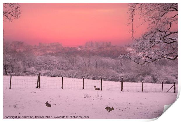 Pink Snow Print by Christine Kerioak