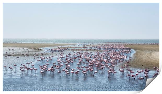 A Landscape of Flamingos Print by Belinda Greb