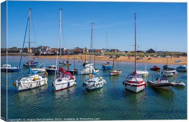 Boat moored in Elie harbour, East Neuk of Fife Canvas Print by Angus McComiskey