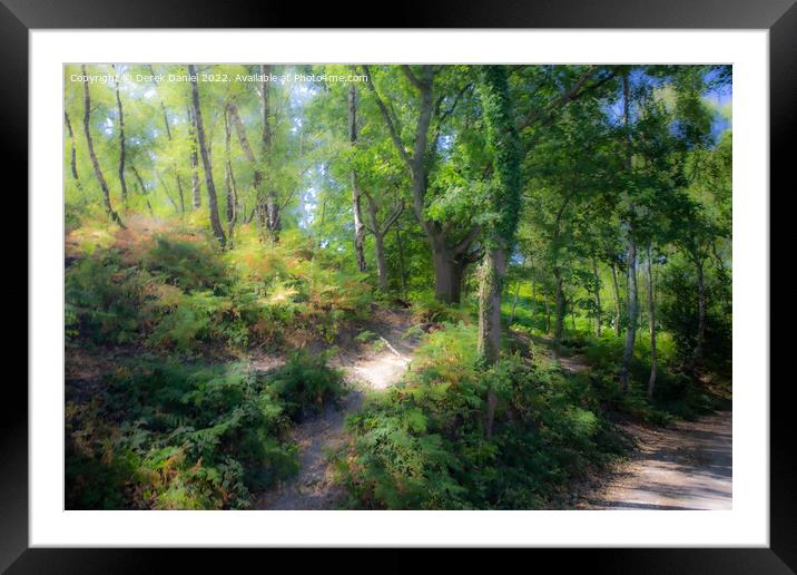 Pathway through the mystical forest Framed Mounted Print by Derek Daniel